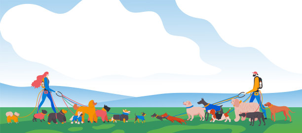 男人和女人。公园里不同的狗。图片下载