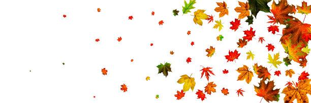 叶子的模式。十月抽象落幕背景。秋天的概念图片下载