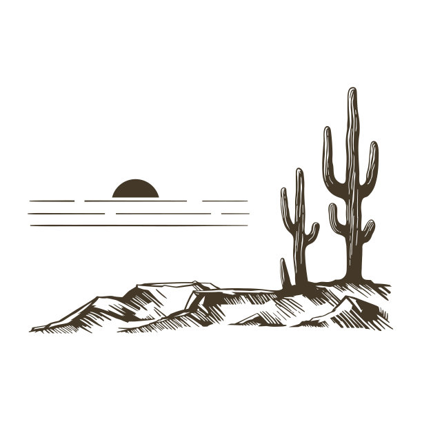 亚利桑那州的仙人掌图片下载