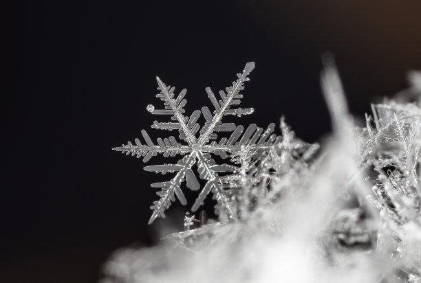 雪地雪花冬季照片图片下载