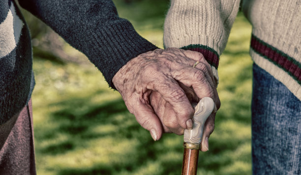 一对老夫妇手牵着手在花园里散步图片下载