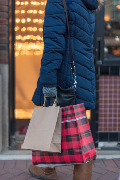 拿着包的女人圣诞节购物图片下载