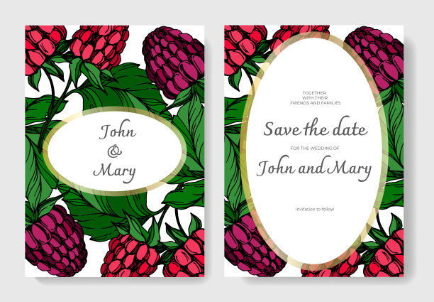 病媒树莓健康食品隔离。黑白篆刻水墨艺术。婚礼背景卡装饰边框。图片下载