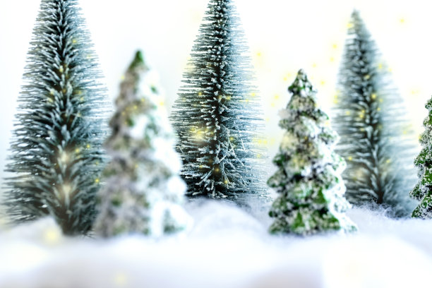 森林里的迷你雪圣诞树。散景灯的背景图片下载