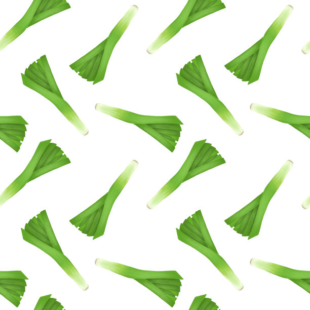 无缝模式与绿色韭菜，手绘在一个白色的背景图片下载