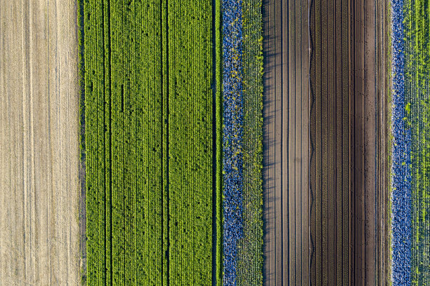 农业领域，鸟瞰图图片下载