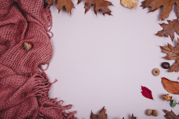 秋天的背景-框架秋天的树叶图片下载