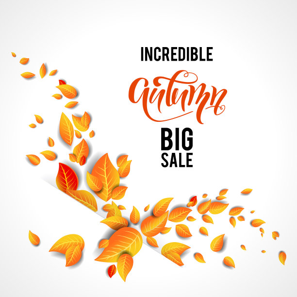 秋天树叶飞溅图片下载