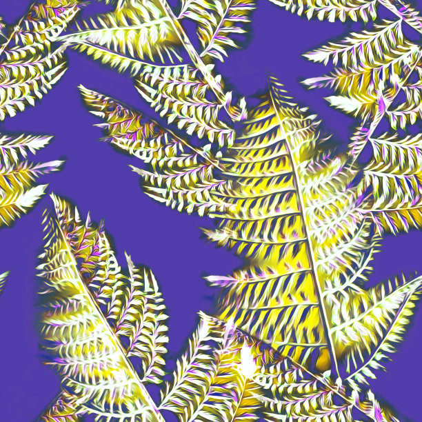 蕨花插图，无缝图案。图片下载