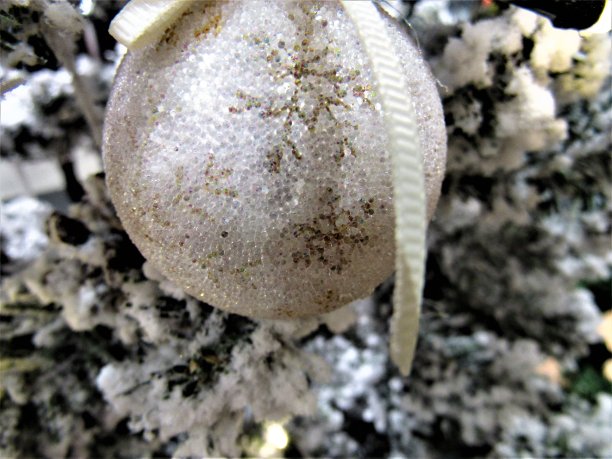 圣诞节的背景图片下载