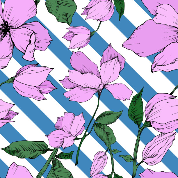 玉兰花载体植物花。黑白篆刻水墨艺术。无缝的背景图案。图片下载