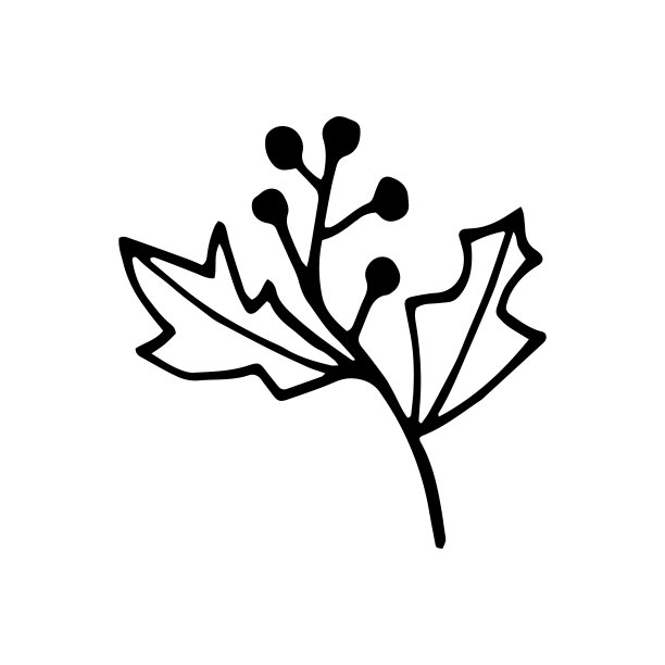 单手绘制的新年和圣诞节元素。涂鸦矢量插图。冬季元素的贺卡，海报，贴纸和季节性设计。在白色背景上隔离图片下载