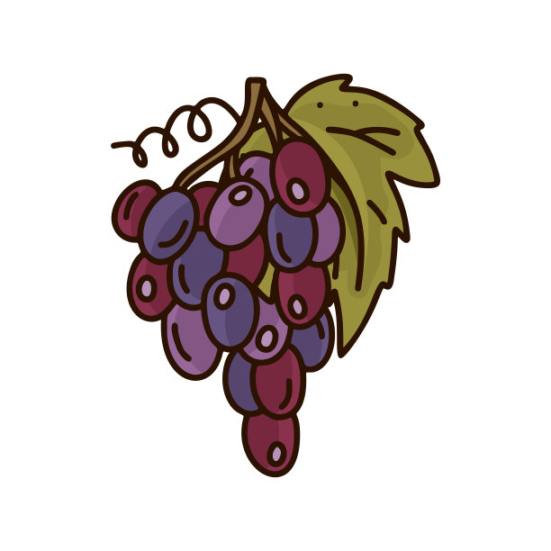 一串红葡萄。卡通孤立的图标在白色的背景图片下载