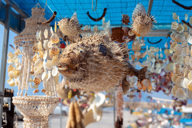 填充河豚作为装饰玩具。克里特岛,希腊图片下载