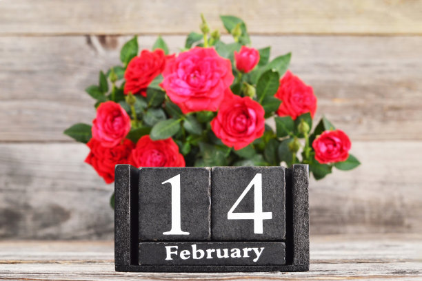 带有红玫瑰和木制日历的情人节卡片图片下载