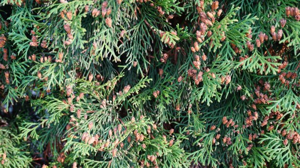 背景，古墙，粗砖石，砖，毛石，铬键，桌面，设计，照片蒙太奇图片下载