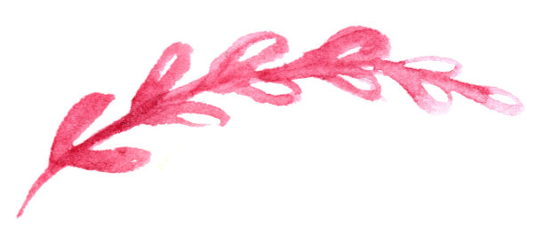 手绘孤立水彩叶花元素图片下载