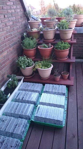 克吕特特雷佩图片下载