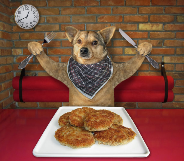 狗在餐馆吃炸肉排图片下载