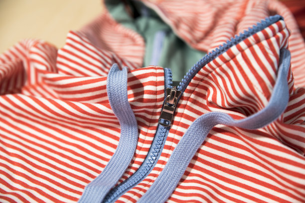 章şonlu运动衫图片下载