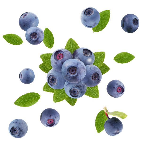 一束蓝莓孤立在白色背景，俯视图。图片下载