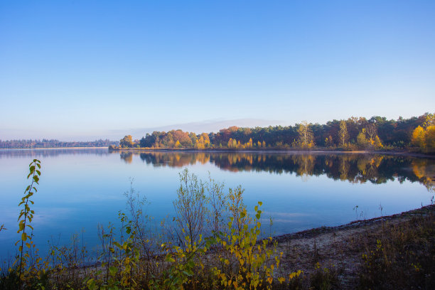 荷兰风景与宁静的河流和蓝天，秋天季节五颜六色的黄色和桔子树，在荷兰俯视图图片下载
