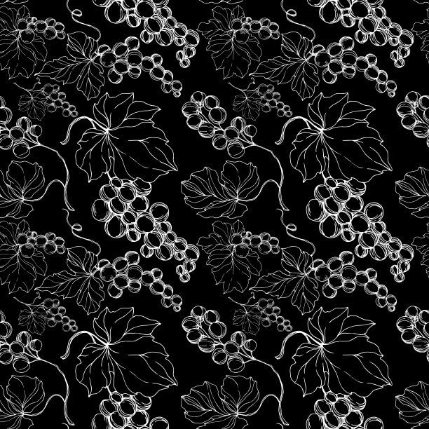 矢葡萄浆果健康食品。黑白篆刻水墨艺术。无缝的背景图案。图片下载
