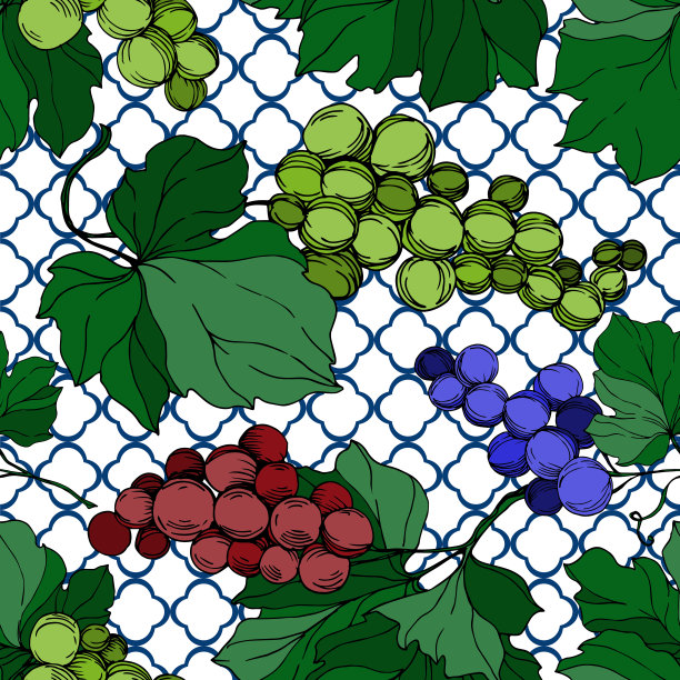 矢葡萄浆果健康食品。黑白篆刻水墨艺术。无缝的背景图案。图片下载