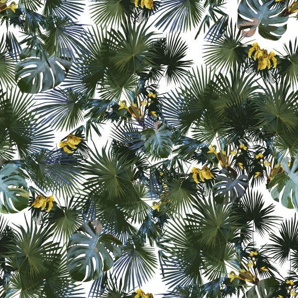 无缝模式的热带植物在白色的背景。图片下载