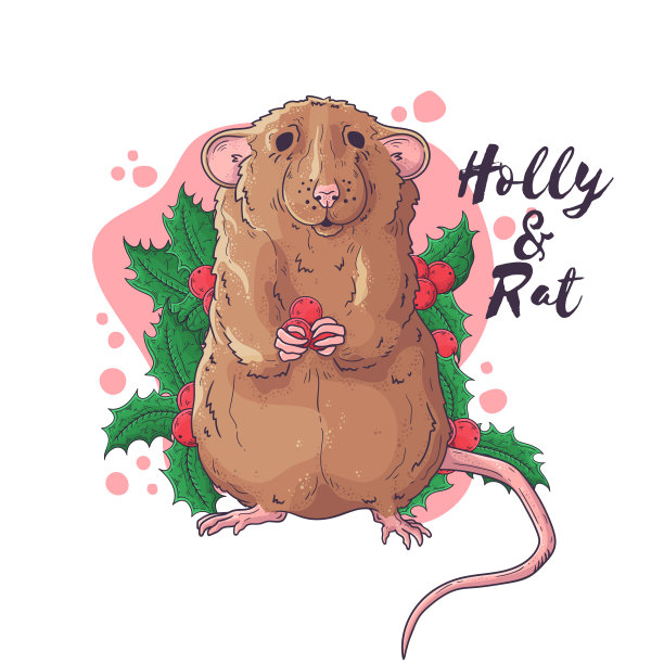 手绘肖像的老鼠在圣诞节配件矢量。图片下载