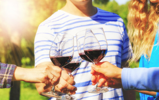 不同年龄的人们在户外兴高采烈地喝着红酒庆祝，举杯祝酒图片下载