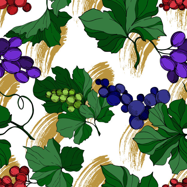 矢葡萄浆果健康食品。黑白篆刻水墨艺术。无缝的背景图案。图片下载