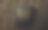 黑色星期五促销海报。豹纹图案设计。金色和黑色的奢华背景。纸艺术和工艺风格。向量的业务说明图片下载