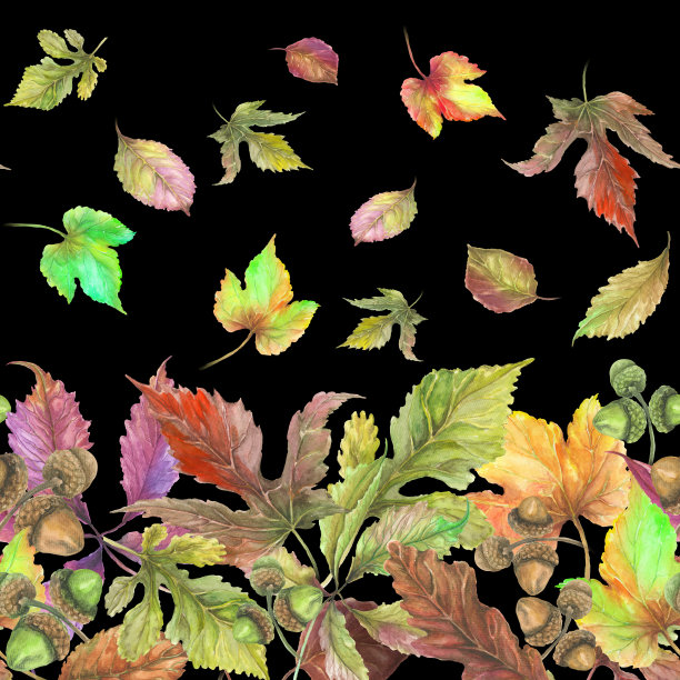 美丽的秋叶在黑色的背景上。无缝的边界。文本的模式与空间。水彩画。织物，墙纸，床单设计。图片下载