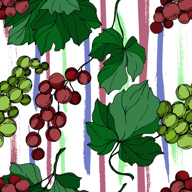 矢葡萄浆果健康食品。黑白篆刻水墨艺术。无缝的背景图案。图片下载