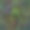 木刻发展设计图片下载
