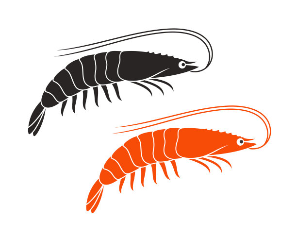 虾的标志。孤立的虾在白色背景。虾图片下载