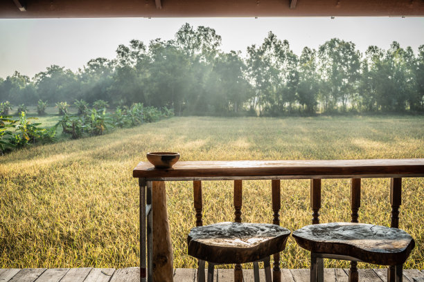 泰国素林有机农场当地酒店图片下载