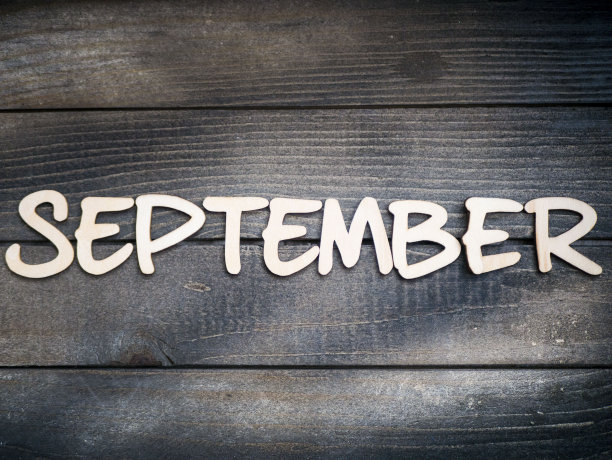 这个月的名字是由深色木头上的浅色木头字母组成的。九月。图片下载