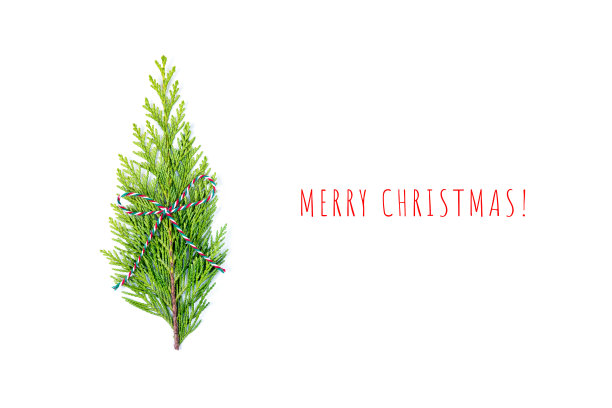 创造性的圣诞树。圣诞卡和新年贺卡。图片下载