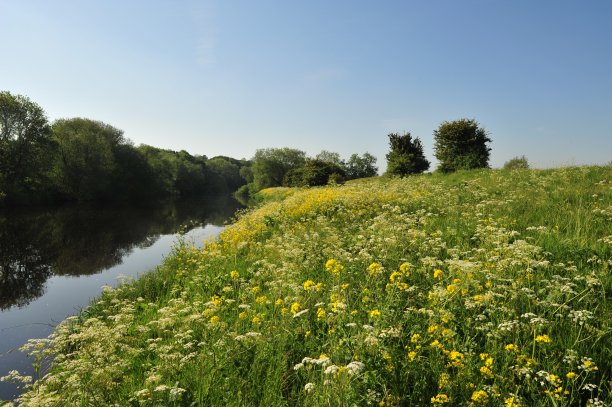 春天沿着北约克郡蒂斯河的景色图片下载