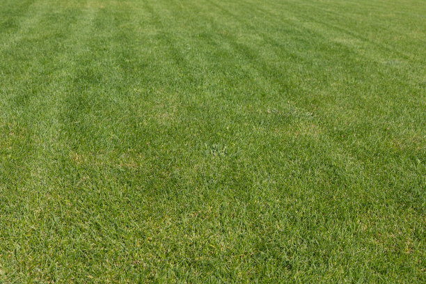 终止割草图片下载