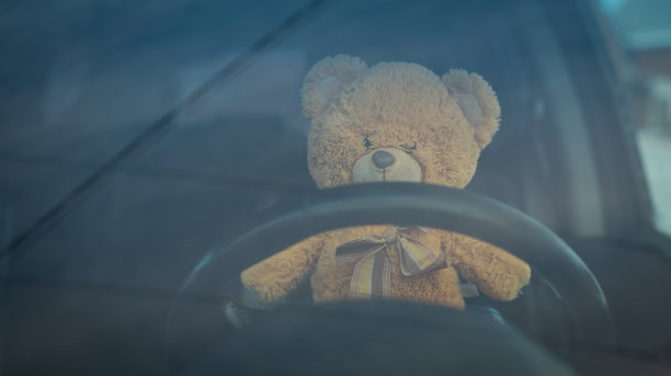 驾驶汽车的泰迪熊图片下载