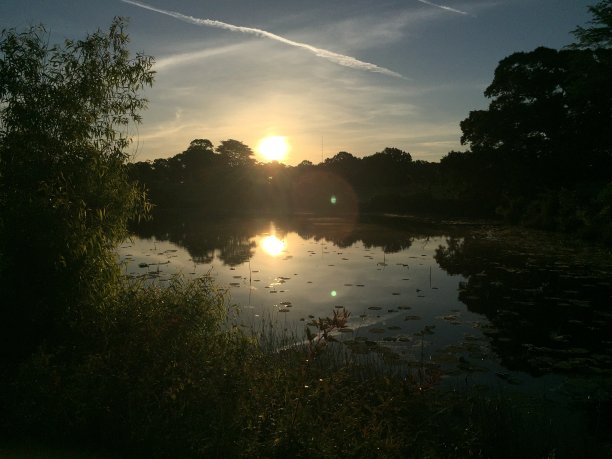 谢尔比农场日出图片下载