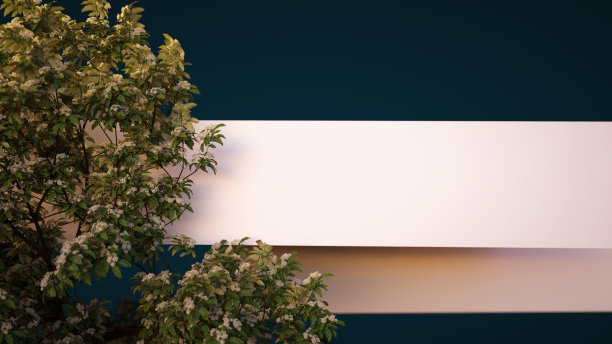 在树中抽象空背景框架图片下载