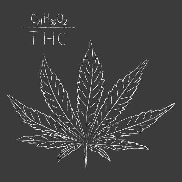 用粉笔画的药用大麻，配方。向量。图片下载