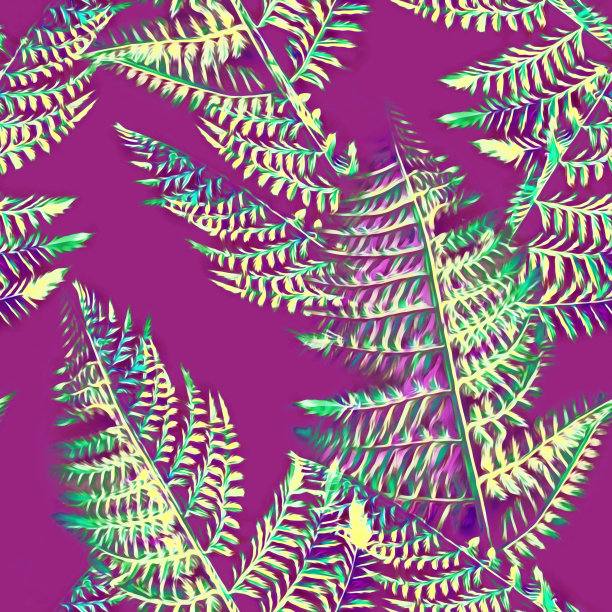 蕨花插图，无缝图案。图片下载