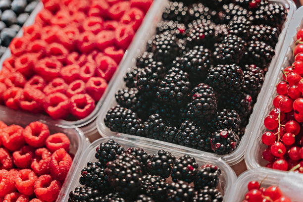 市场摊位上陈列的新鲜浆果。蓝莓、树莓、黑莓。图片下载
