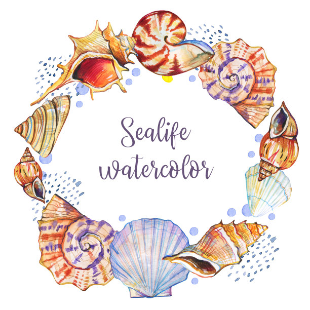 圆形框架与不同的贝壳。手绘水彩插图图片下载