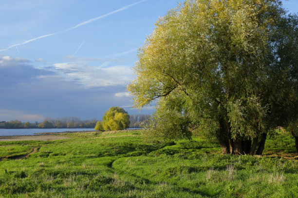 Zons和Benrath附近的莱茵河图片下载